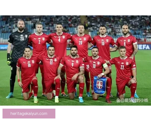 欧洲杯归化球员表现稳健，助力各国球队实力提升